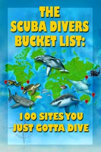 Book cover for &quot;The Scuba Divers Bucket List: 100 Sites You Just Gotta Dive&quot; by Just Gotta Dive (JGD)