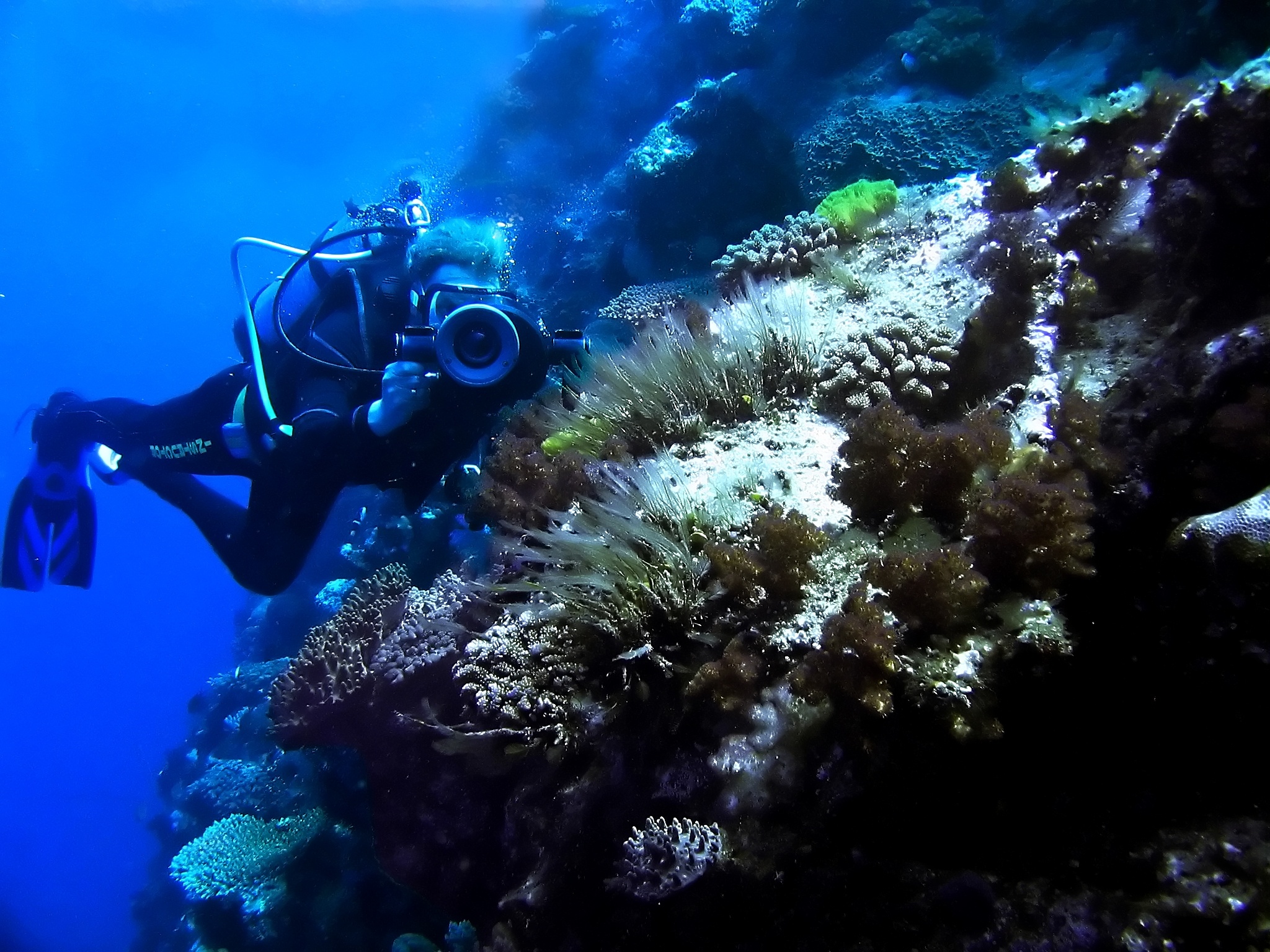 Diver that wants to become a professional underwater photographer practices his underwater photography and diving skills