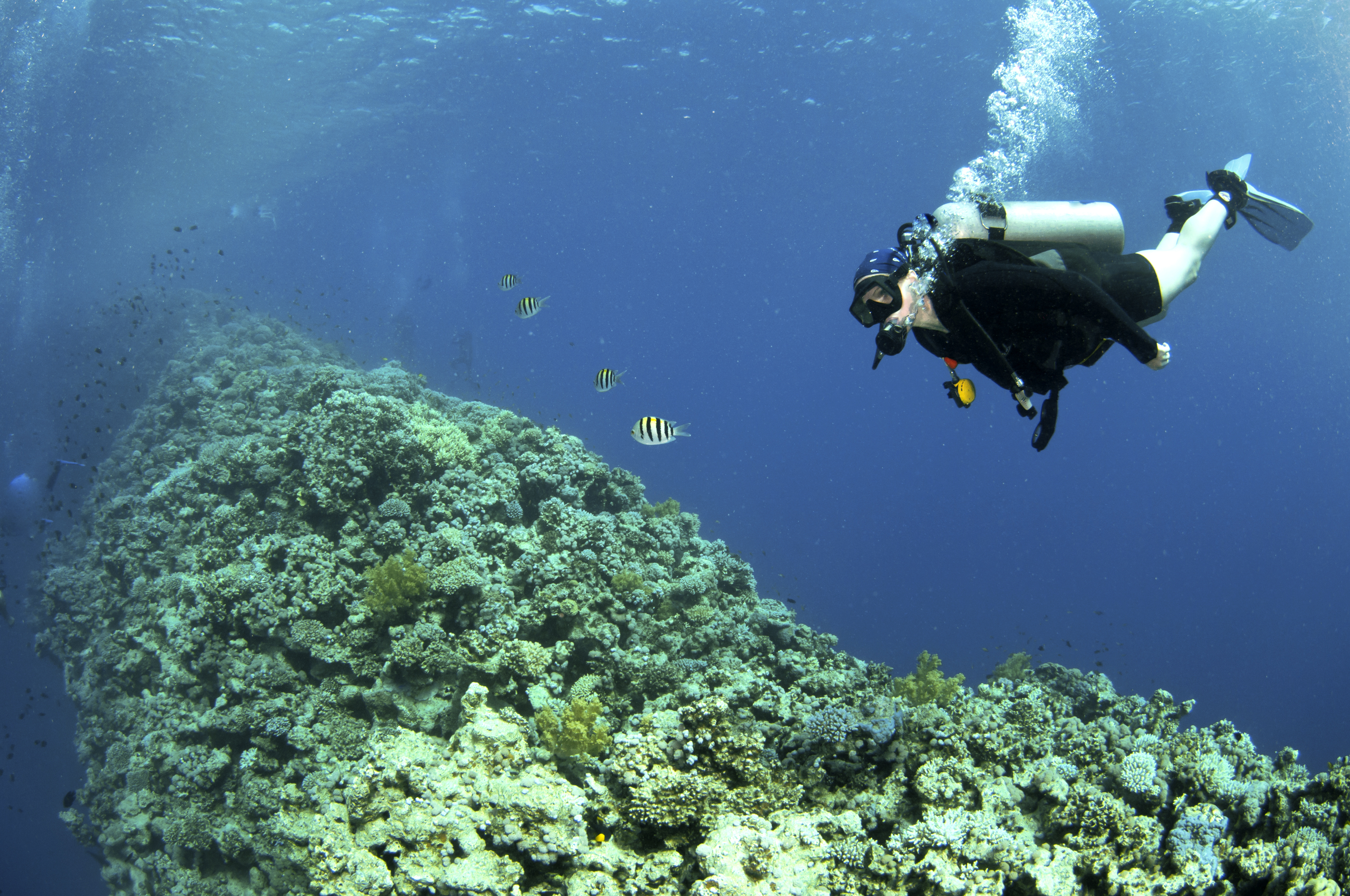 Male diver continues to practice tips and techniques in an effort to master peak performance buoyancy