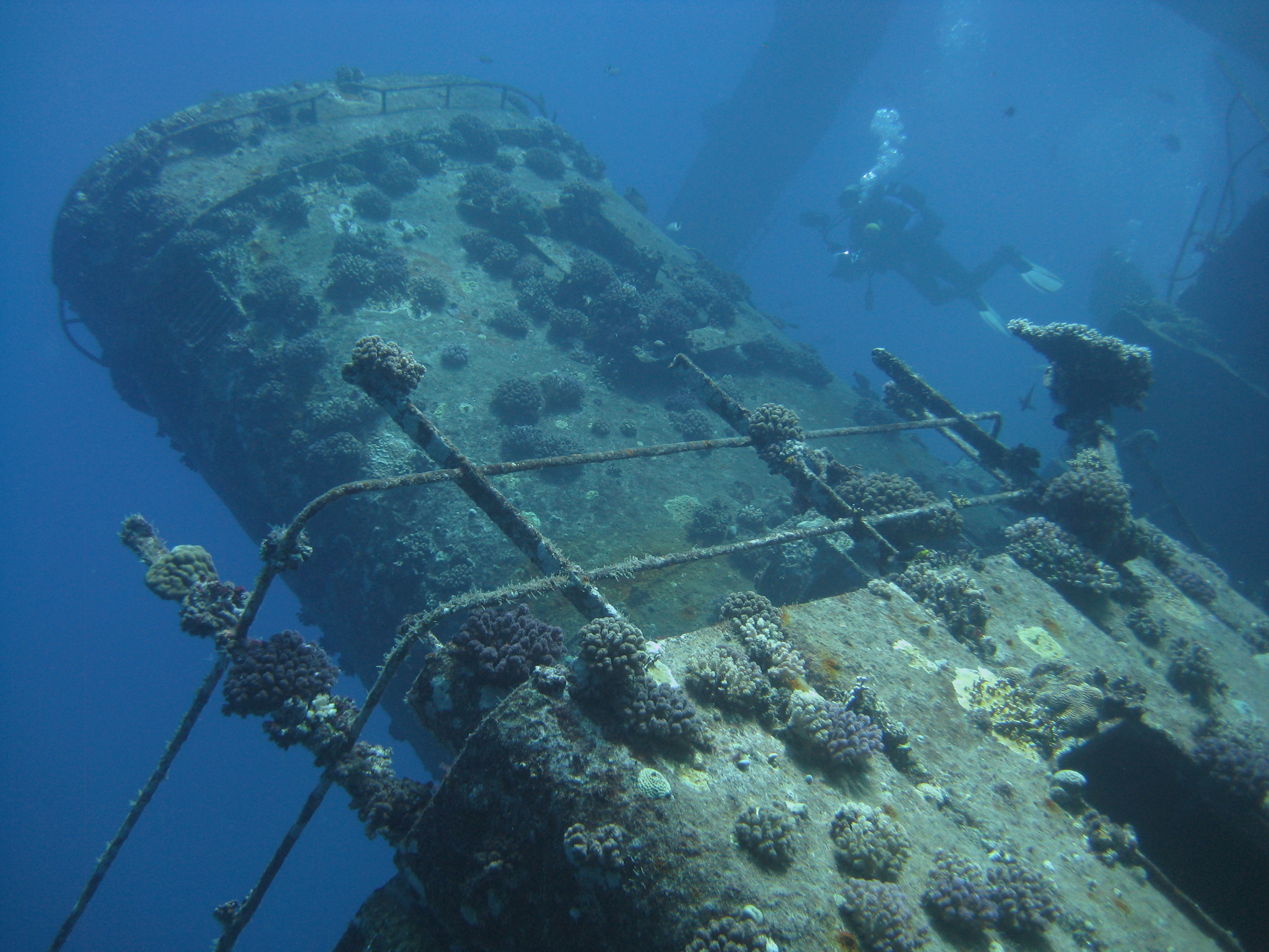 underwater archaeologist surveying an wreck