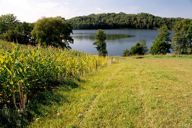 Grassy fields provide a path to Poland&#039;s Hancza Lake