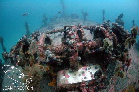 The SAS Pietermaritzburg wreck wreathed in colorful coral in South Africa&#039;s Cape Town